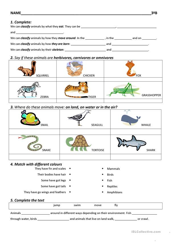 76 science fair project ideas printable 66 jpg